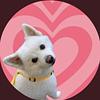 nbbird's profile picture