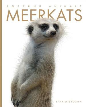 Amazing Animals: Meerkats by Valerie Bodden