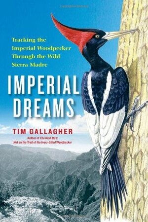 Imperial Dreams: Tracking the Imperial Woodpecker through the Wild Sierra Madre by Tim Gallagher