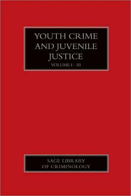 Youth Crime and Juvenile Justice by 