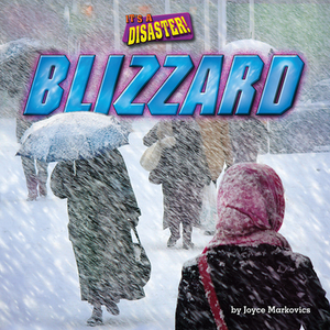 Blizzard by Joyce Markovics