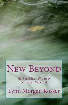 New Beyond & In The Womb of the World: Poems from the Heart of Special-Needs Parenting by Lynn Morgan Rosser