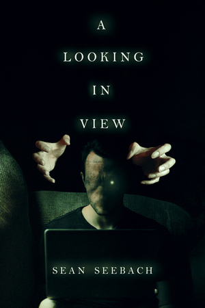 A Looking in View by Sean Seebach