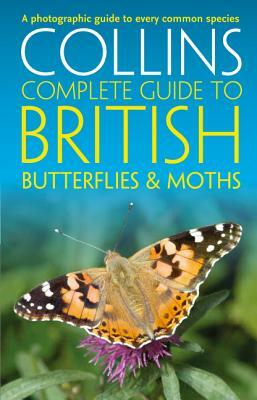 Butterflies and Moths: A Photographic Guide to British and European Butterflies and Moths by Paul Sterry