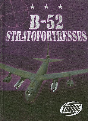 B-52 Stratofortresses by Jack David