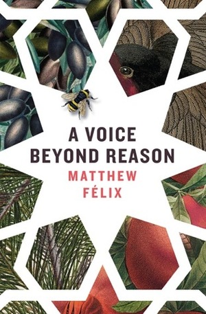 A Voice Beyond Reason by Matthew Felix