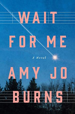 Wait for Me: A Novel by Amy Jo Burns