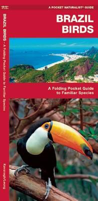 Brazil Birds: A Folding Pocket Guide to Familiar Species by James Kavanagh, Waterford Press