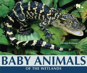 Baby Animals of the Wetlands by Carmen Bredeson