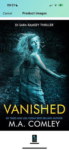 Vanished by M.A. Comley