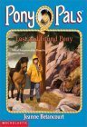 Lost and Found Pony by Jeanne Betancourt