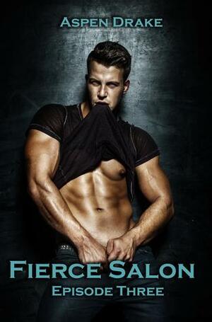 Fierce Salon: Episode Three by Aspen Drake