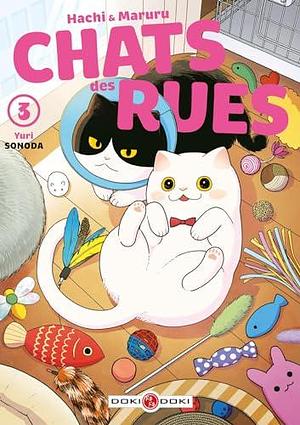 Hachi & Maruru - Chats des rues - Tome 3 - Tome 3 by Yuri Sonoda