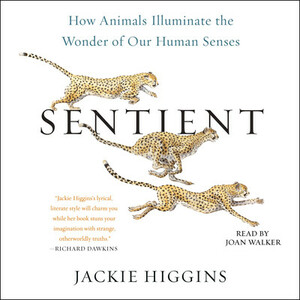 Sentient: What Animals Reveal About Our Senses by Jackie Higgins