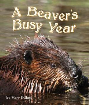 The Beavers' Busy Year by Mary Holland