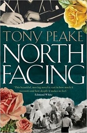 North Facing by Tony Peake