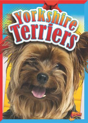 Yorkshire Terriers by Christa C. Hogan
