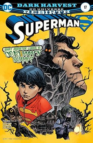 Superman (2016-) #17 by Peter J. Tomasi, Patrick Gleason, Dave Stewart, Sebastian Fiumara