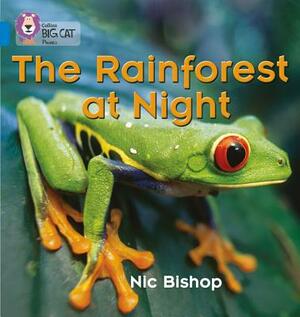 The Rainforest at Night by Nic Bishop