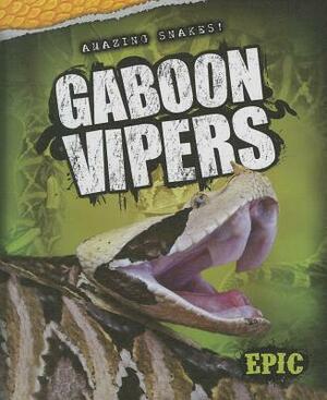 Gaboon Vipers by Chris Bowman