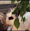 cosyfromscratch's profile picture