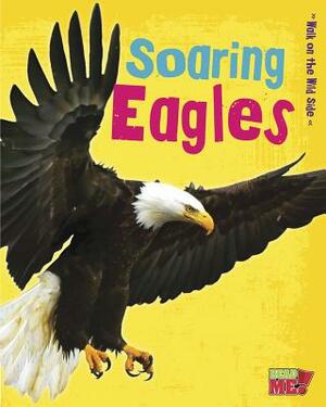 Soaring Eagles by Charlotte Guillain
