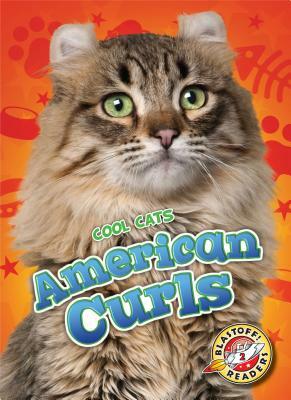 American Curls by Betsy Rathburn