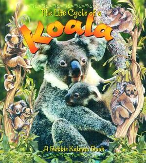 Koala by Bobbie Kalman
