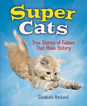 Super Cats: True Stories of Felines That Made History by Elizabeth MacLeod