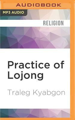 Practice of Lojong: Cultivating Compassion Through Training the Mind by Traleg Kyabgon
