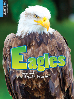 Eagles by Katie Gillespie