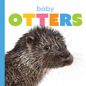 Baby Otters by Kate Riggs