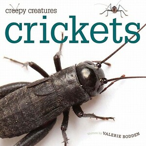 Crickets by Valerie Bodden