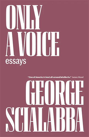 Only a Voice: Essays by George Scialabba