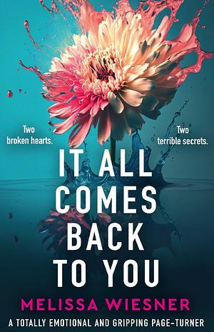 It All Comes Back to You by Melissa Wiesner