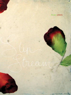 Slip Stream by Paula Green