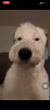 le_if's profile picture