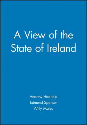 A View of the State of Ireland: The Production and Experience of Consumption by Edmund Spenser