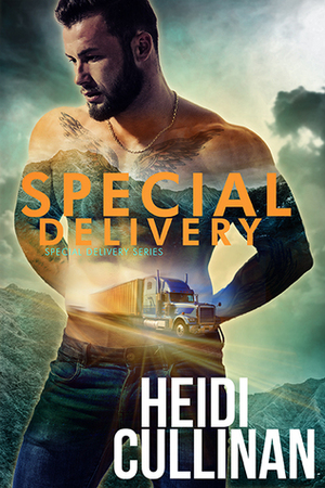 Special Delivery by Heidi Cullinan