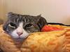 jcho's profile picture