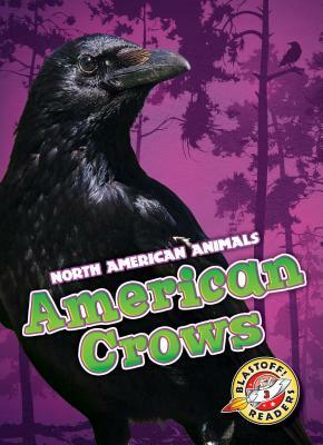 American Crows by Rebecca Sabelko