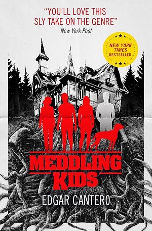 Meddling Kids by Edgar Cantero