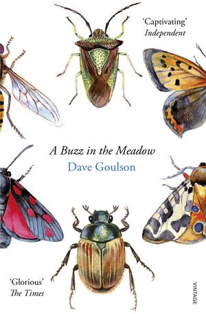 A Buzz in the Meadow: The Natural History of a French Farm by Dave Goulson