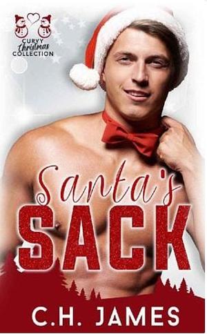 Santa's Sack by C.H. James