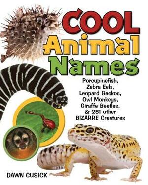 Cool Animal Names: Porcupine Fish, Zebra Eels, Leopard Geckos, Owl Monkeys, Giraffe Beetles, & 251 Other Bizarre Creatures by Dawn Cusick