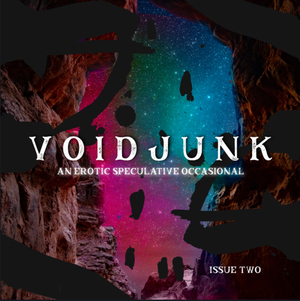 VOIDJUNK: Issue Two by Hester J. Rook, Rose Kay