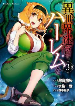 Isekai Meikyuu de Harem o, vol. 3 by SOGANO Shachi