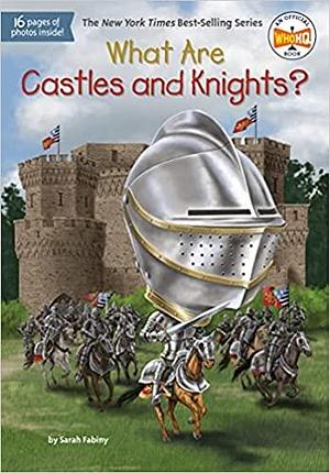 What Are Castles and Knights? by Dede Putra, Who H.Q., Sarah Fabiny