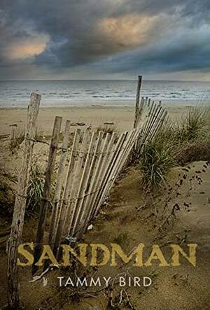 Sandman by Tammy Bird