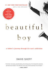 Beautiful Boy: A Father's Journey Through His Son's Addiction by David Sheff